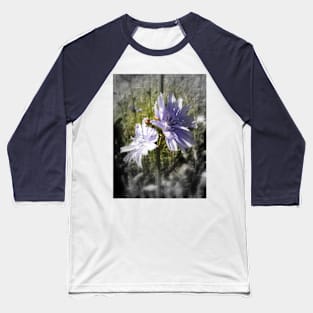 chicory flowers 4 Baseball T-Shirt